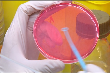 АНТИБИОТИК-ДЛЯ-РЫБ