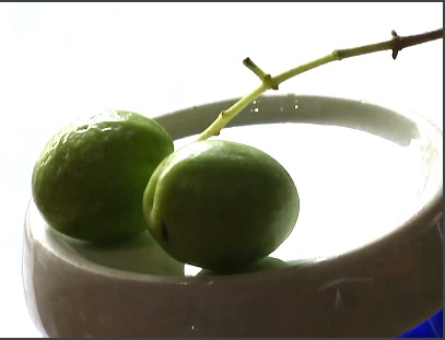 ТОМИКО-ТАНАКА