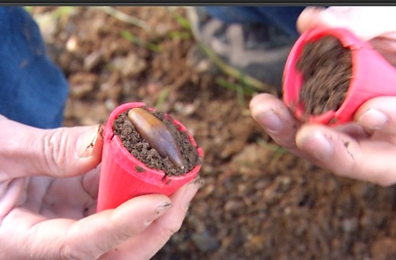 ЗАЩИТА-СЕМЯН