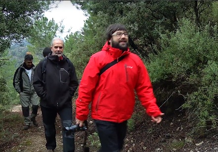 ЛЕСОХОДЫ-ЮГА