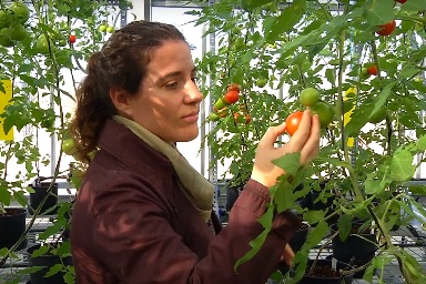 СОНЯ-ОСОРИО