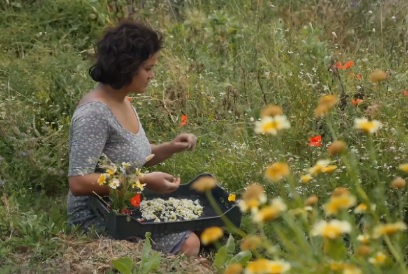 MOLINOS-DEL-RIO-AGUAS