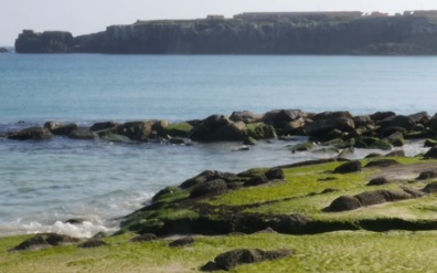 БИОИНДИКАТОРЫ-ЛЕКАРСТВ